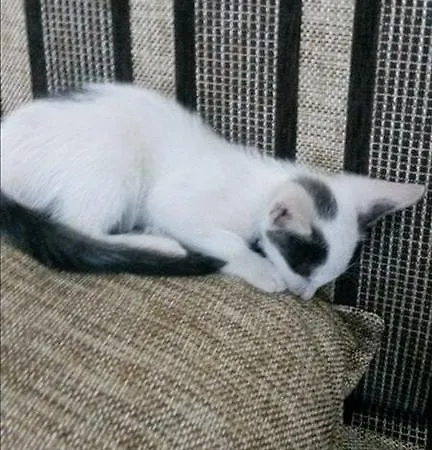 Отель Grand Vizon