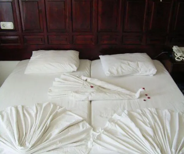 호텔 Grand Vizon 페티예